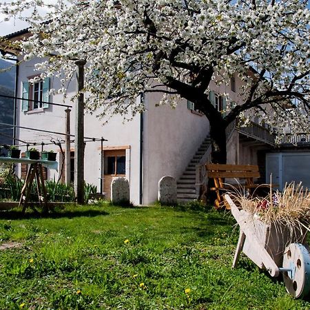 B&B La Fosina Mezzolombardo Exteriér fotografie